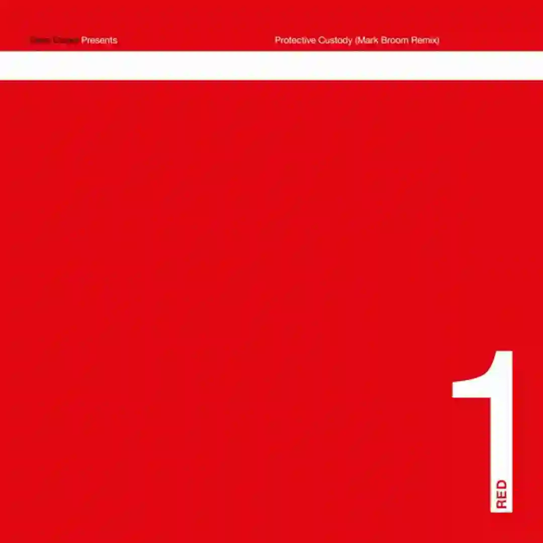 Protective Custody (Mark Broom Remix) cover