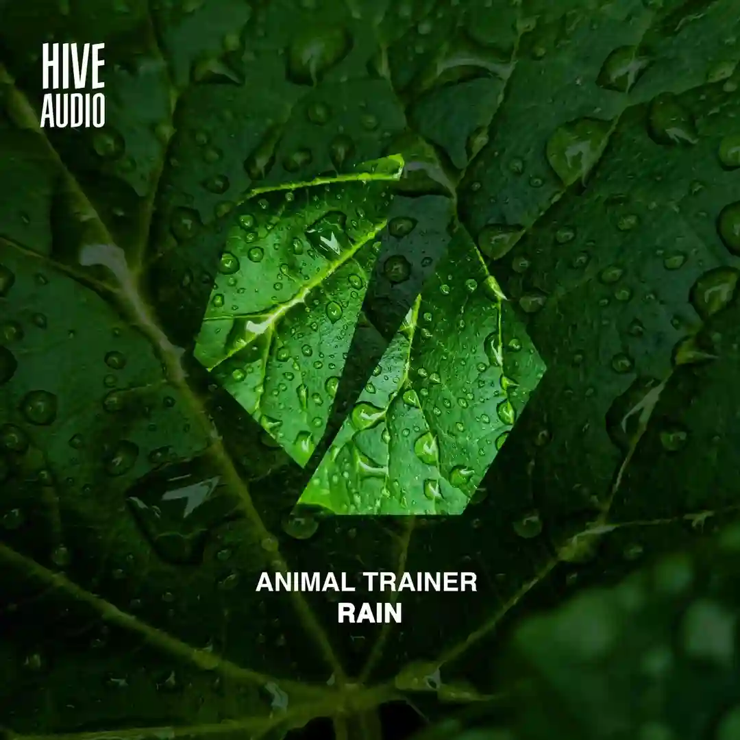 Rain (Extended Mix) cover