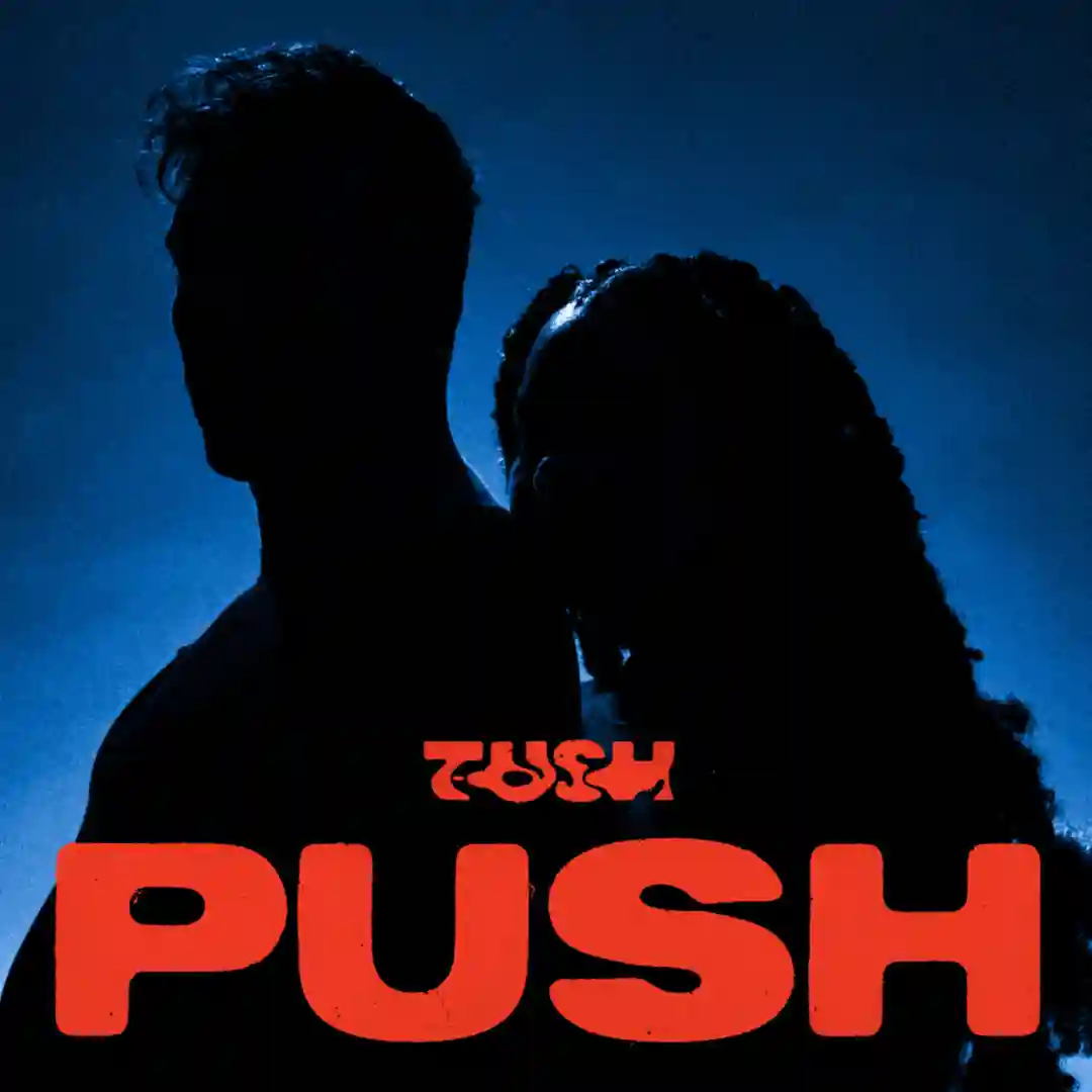 Push (Original Mix) cover