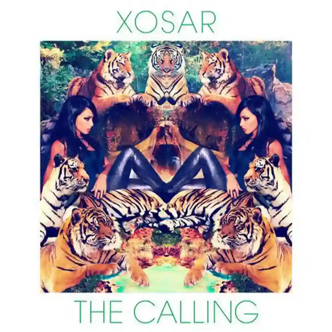 The Calling cover