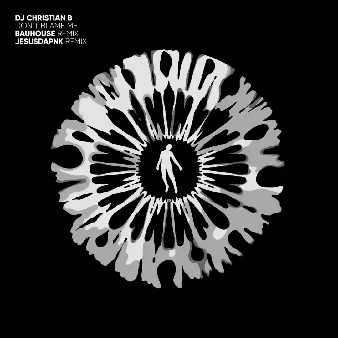Don't Blame Me (Bauhouse Remix) cover