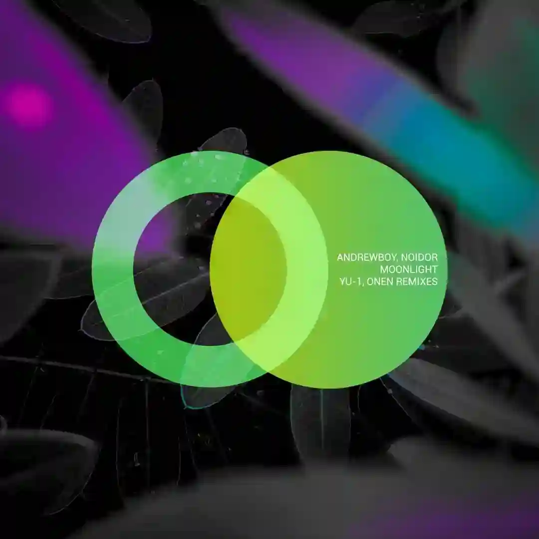 Moonlight (YU-1 Remix) cover