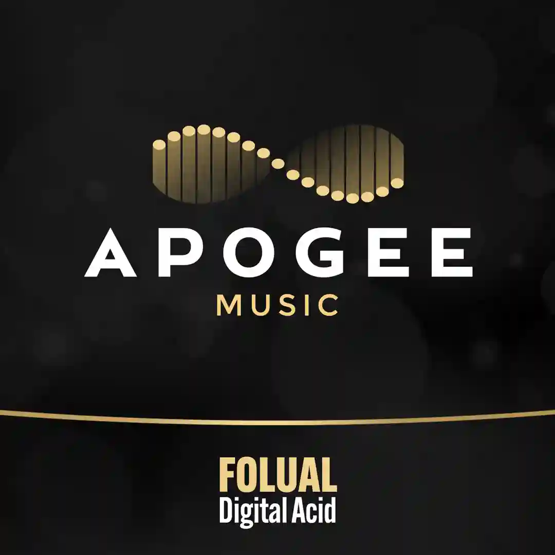 Digital Acid cover