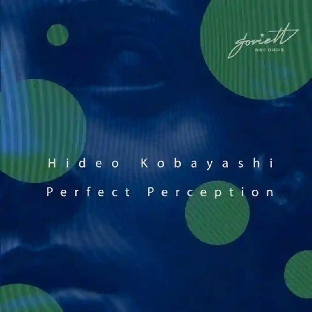 Perfect Perception cover