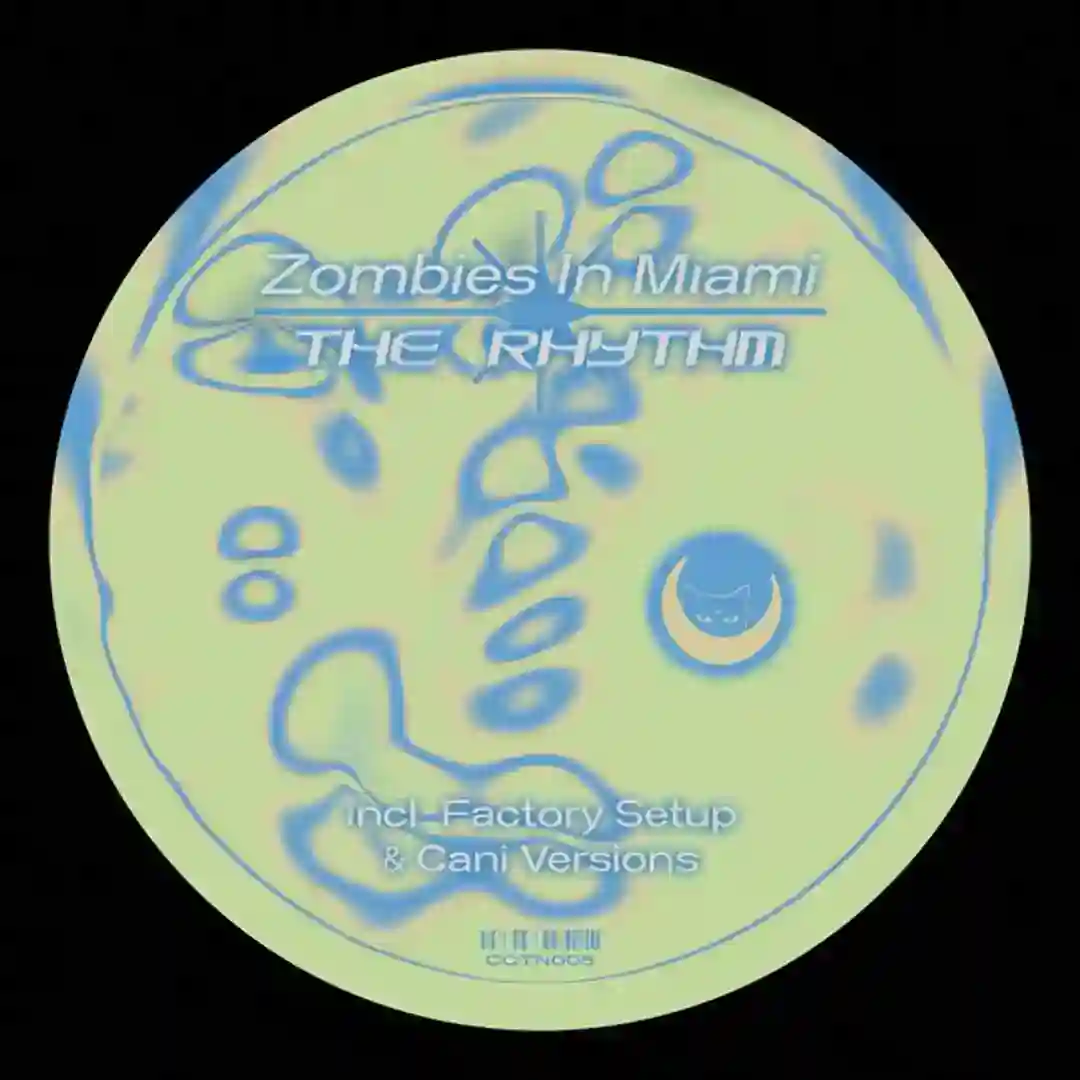 The Rhythm (Original Mix) cover