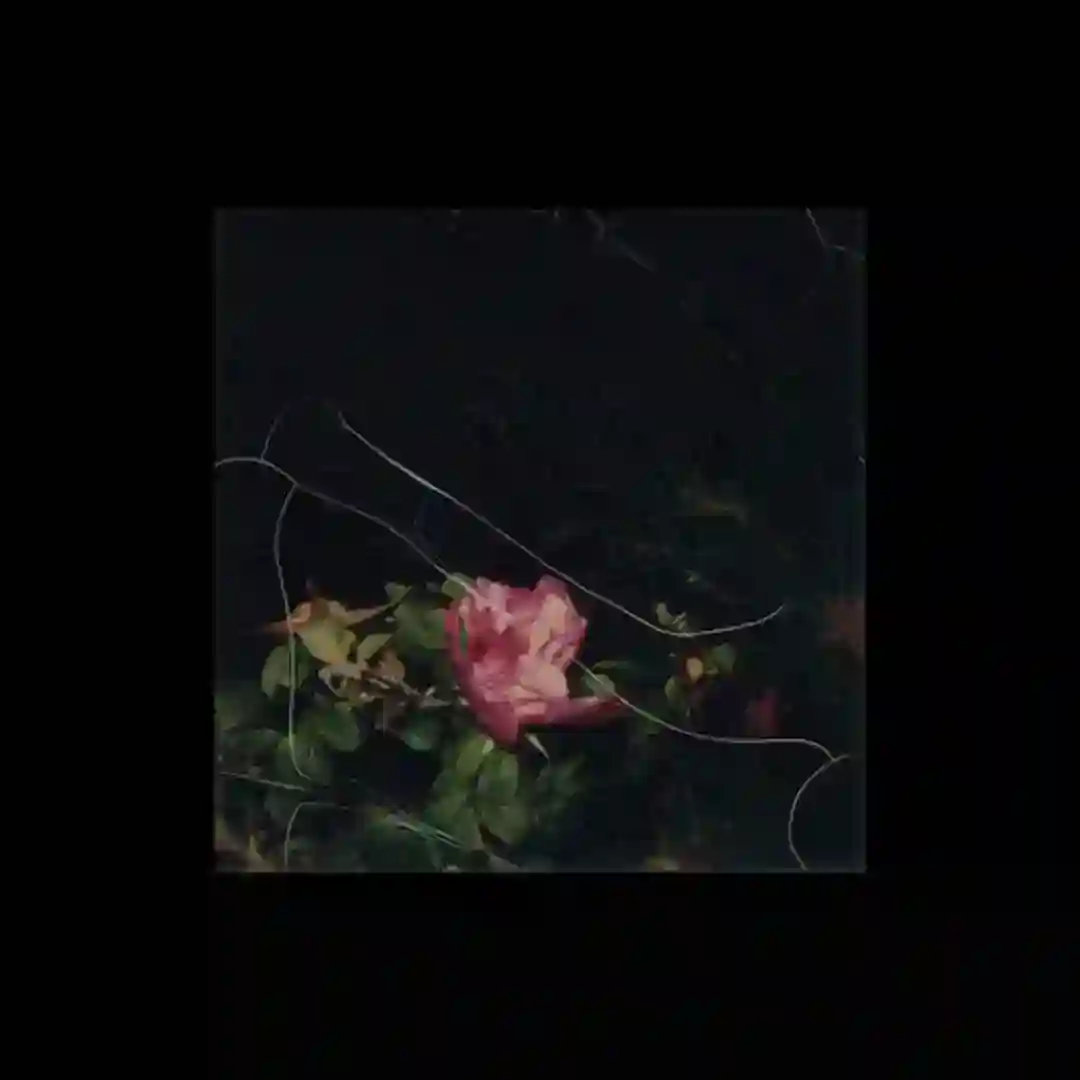 Pale Skin feat. Femme En Fourrure (Original Mix) cover