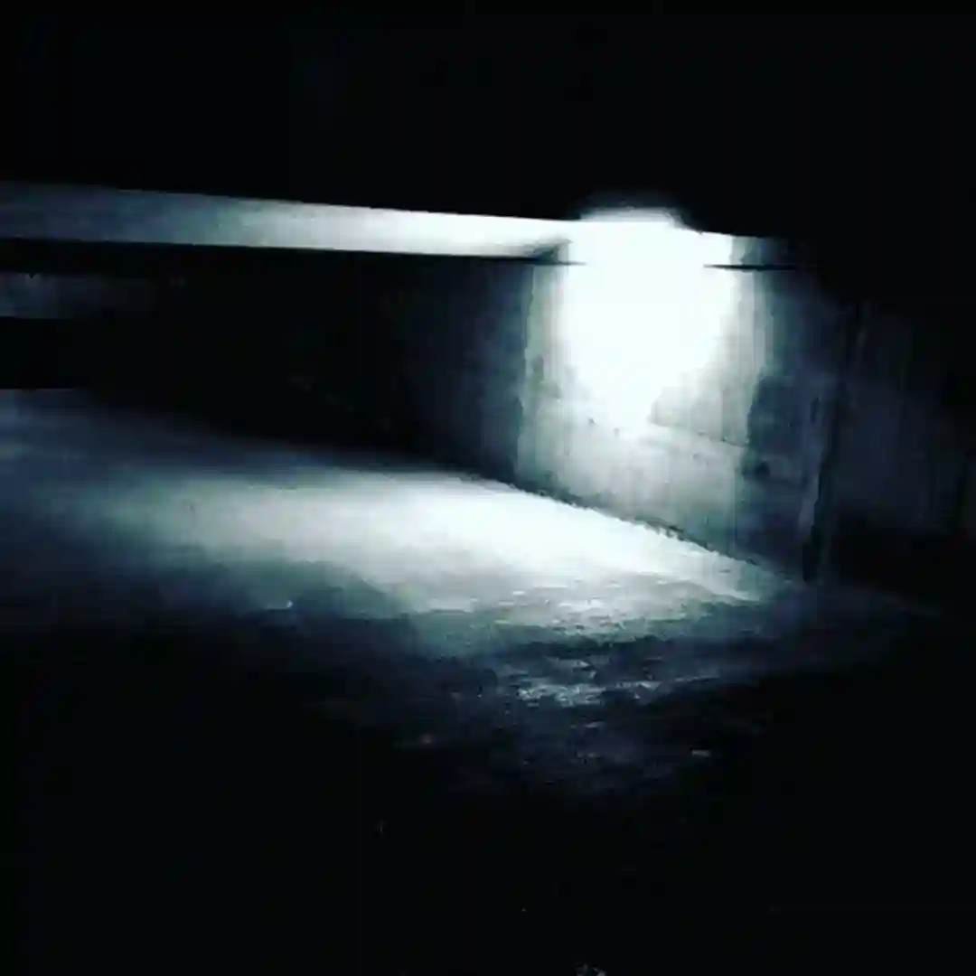 Settling (Original Mix) cover