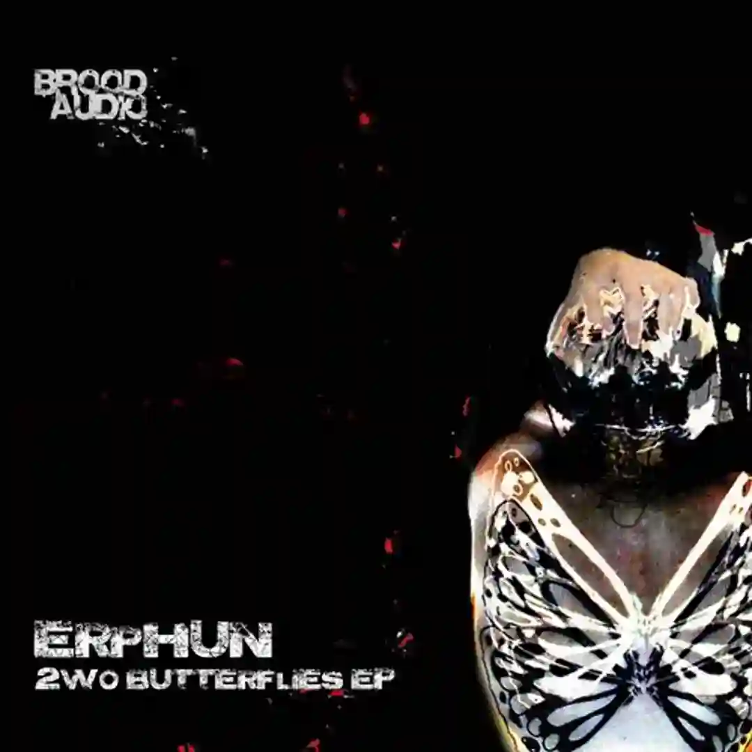 2wo Butterflies (Original Mix) cover