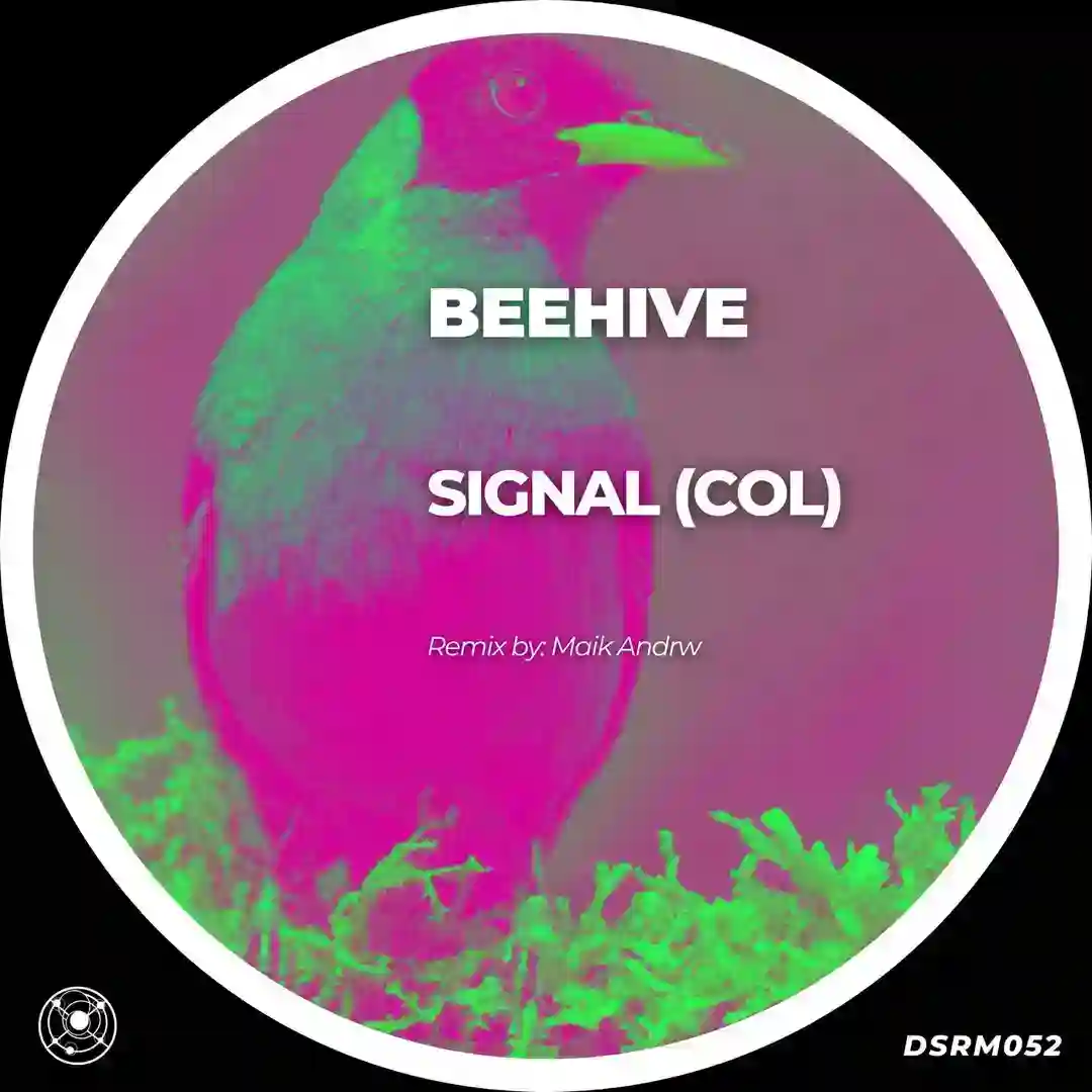 Swirl (Original Mix) cover