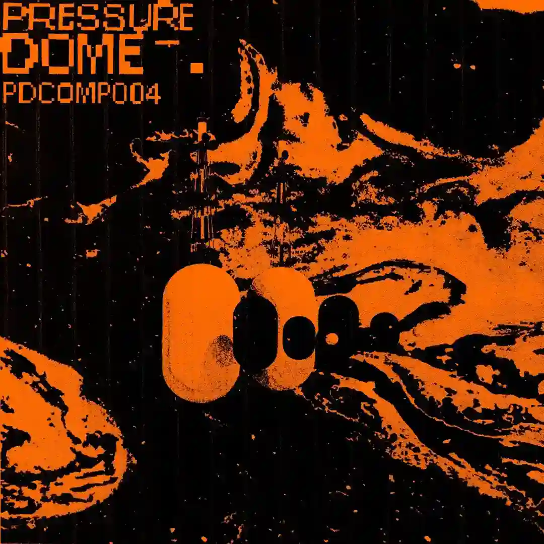 Pilzi cover