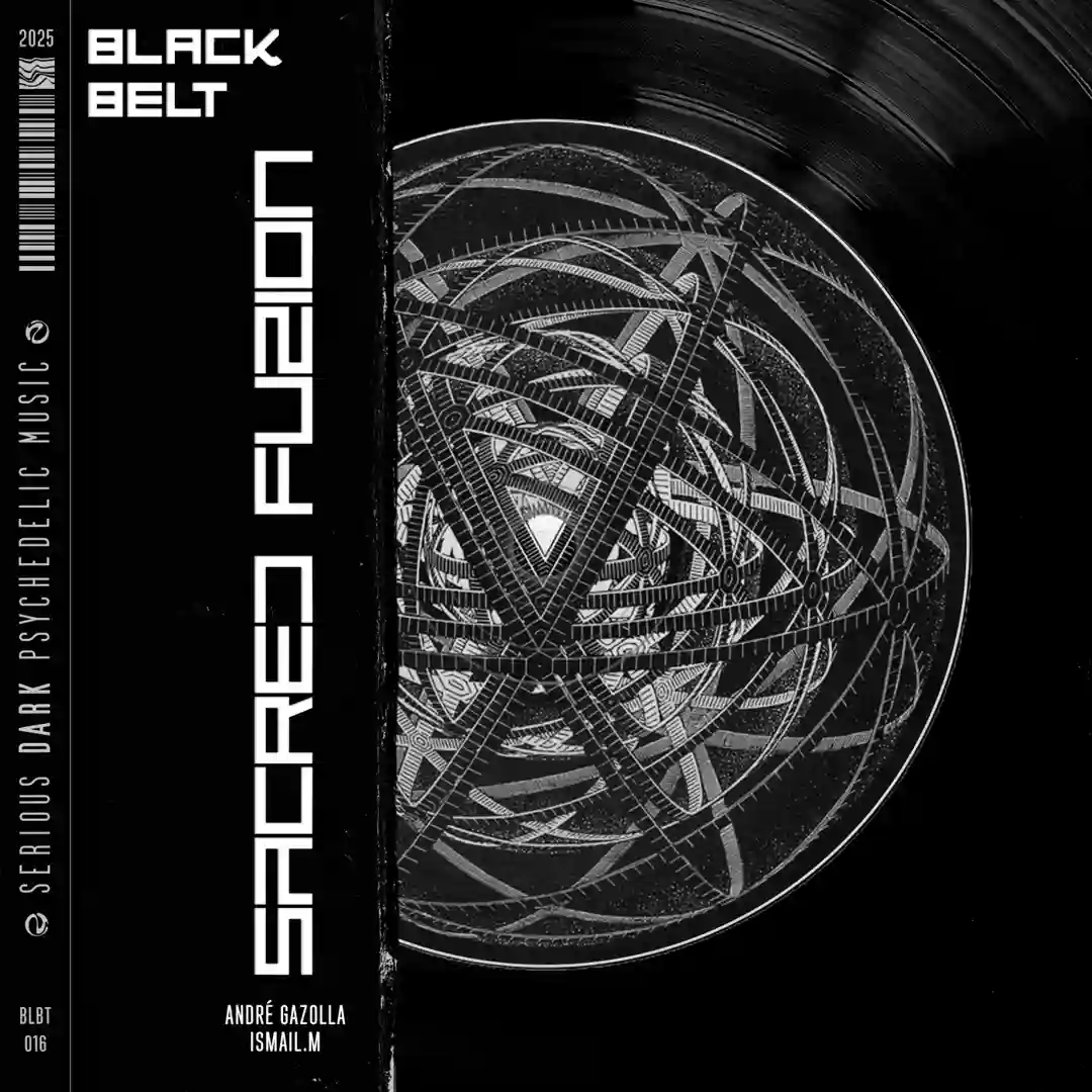 Duallity (Original Mix) cover