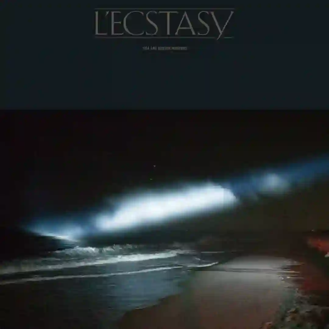 Theme From Borneo Function cover