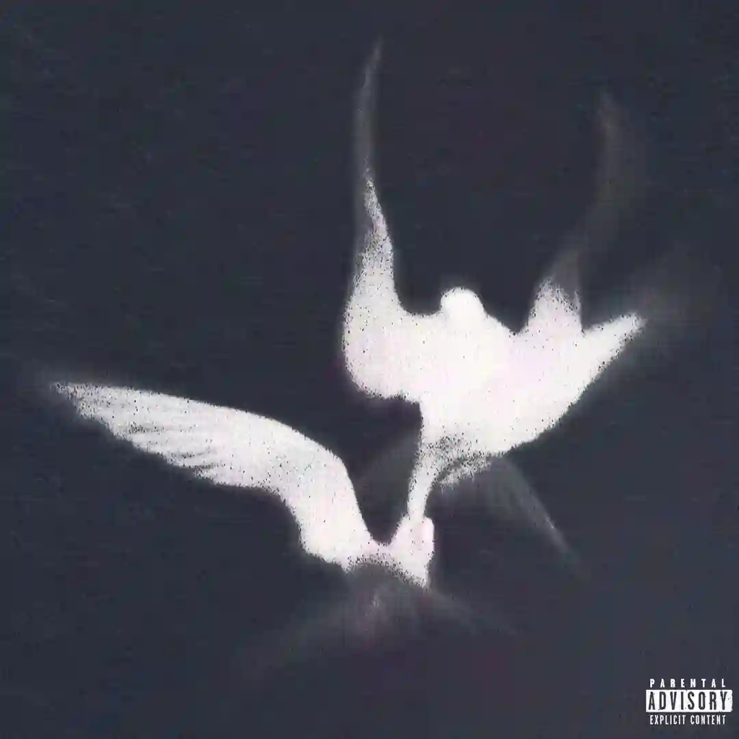 Fly Away cover