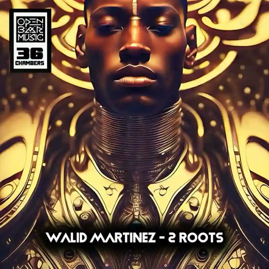 2 Roots (Original Mix) cover
