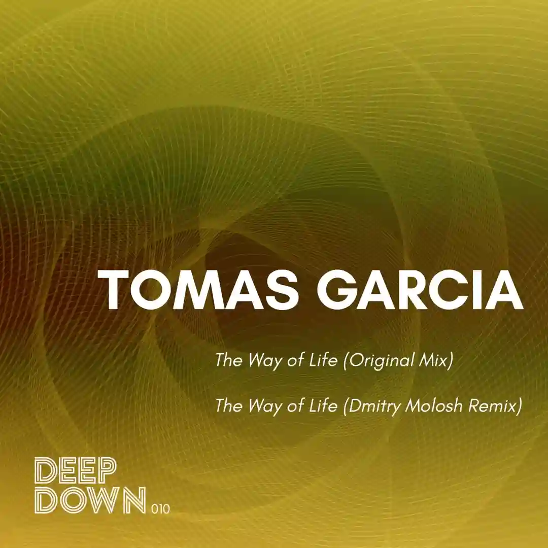 The Way of Life (Extended Mix) cover