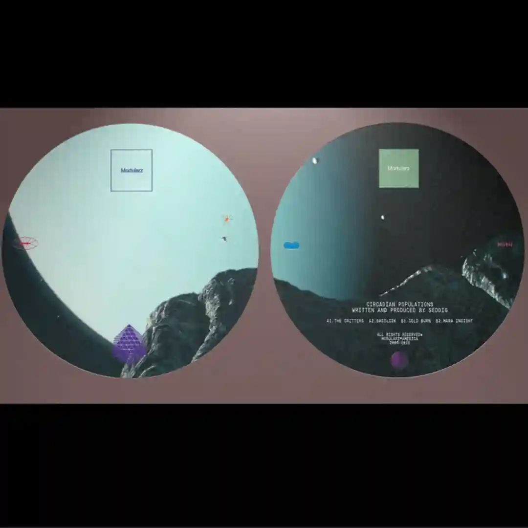 Mara Insight (Original Mix) cover