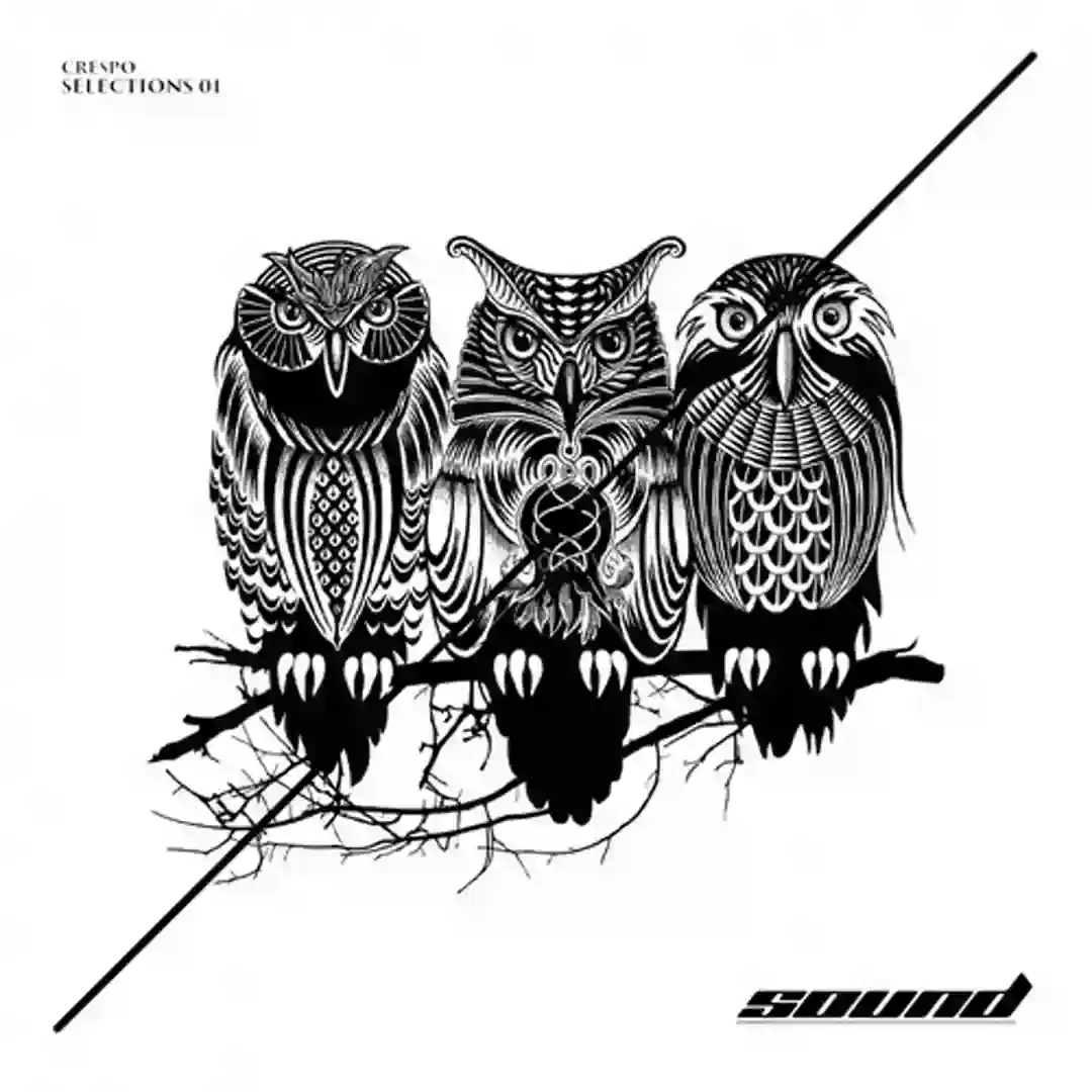 Good Woodoo (Original Mix) cover