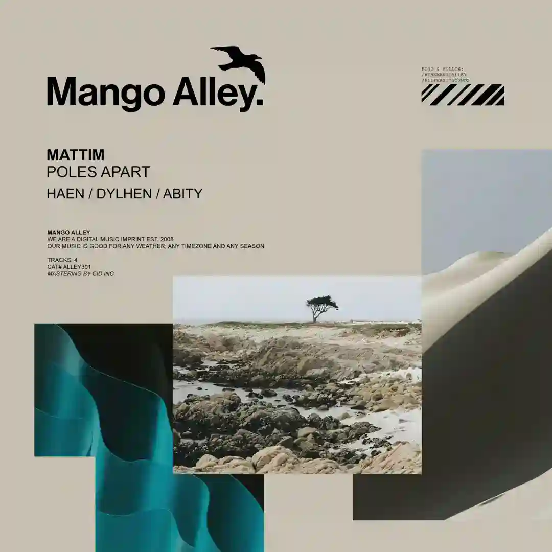Poles Apart (Haen Remix) cover
