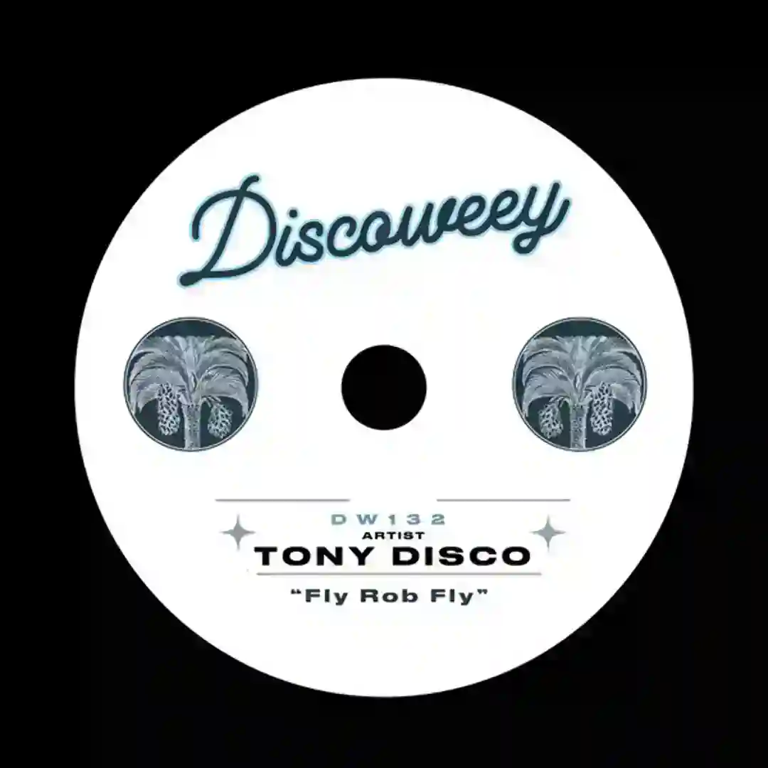 Fly Rob Fly (Original Mix) cover
