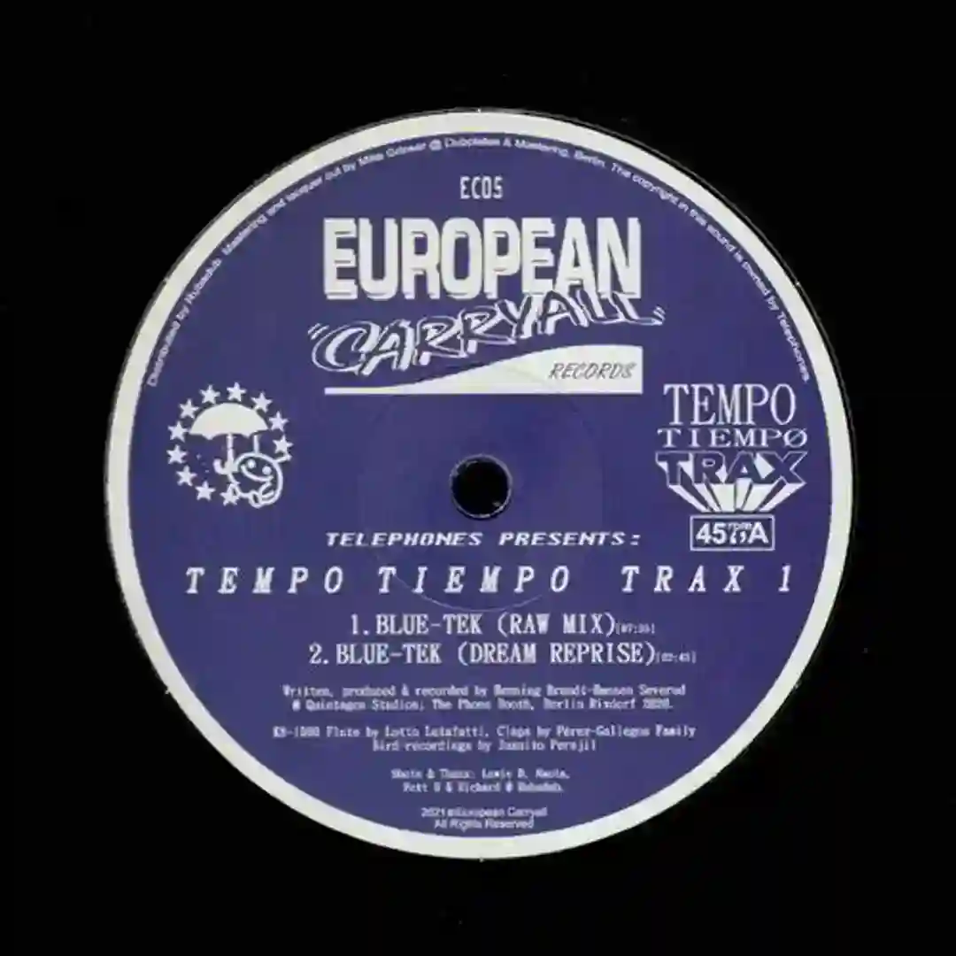 FV555 (Sueñotechno Reprise) cover