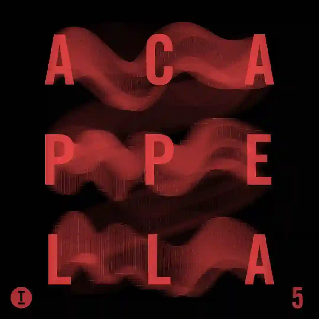 Back to Basics feat. Mr. V (Acapella) cover