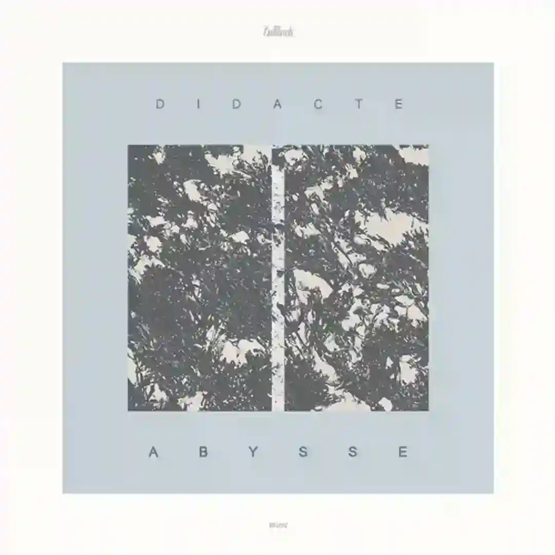 Taïga (Original Mix) cover