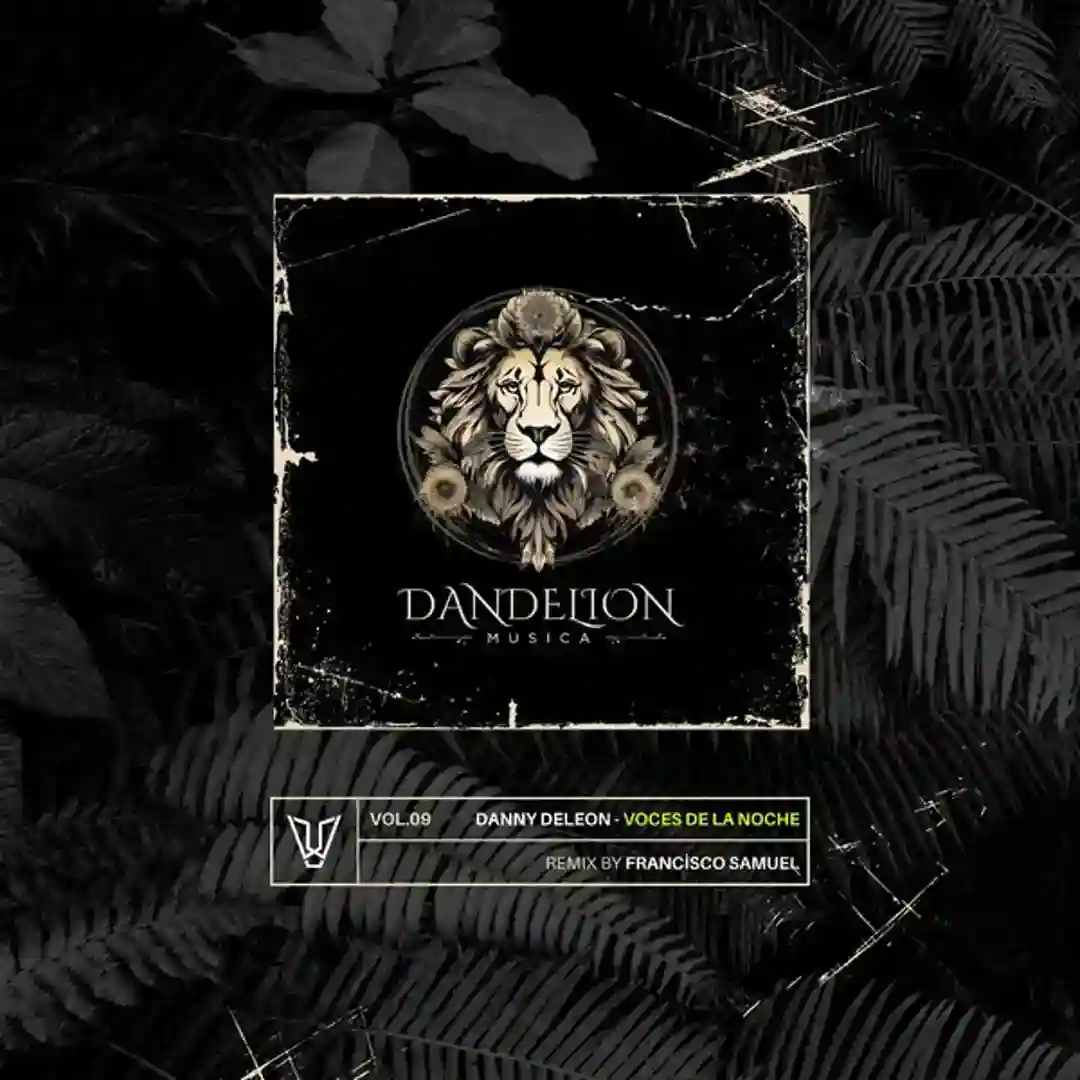 Voces De La Noche (Original Mix) cover