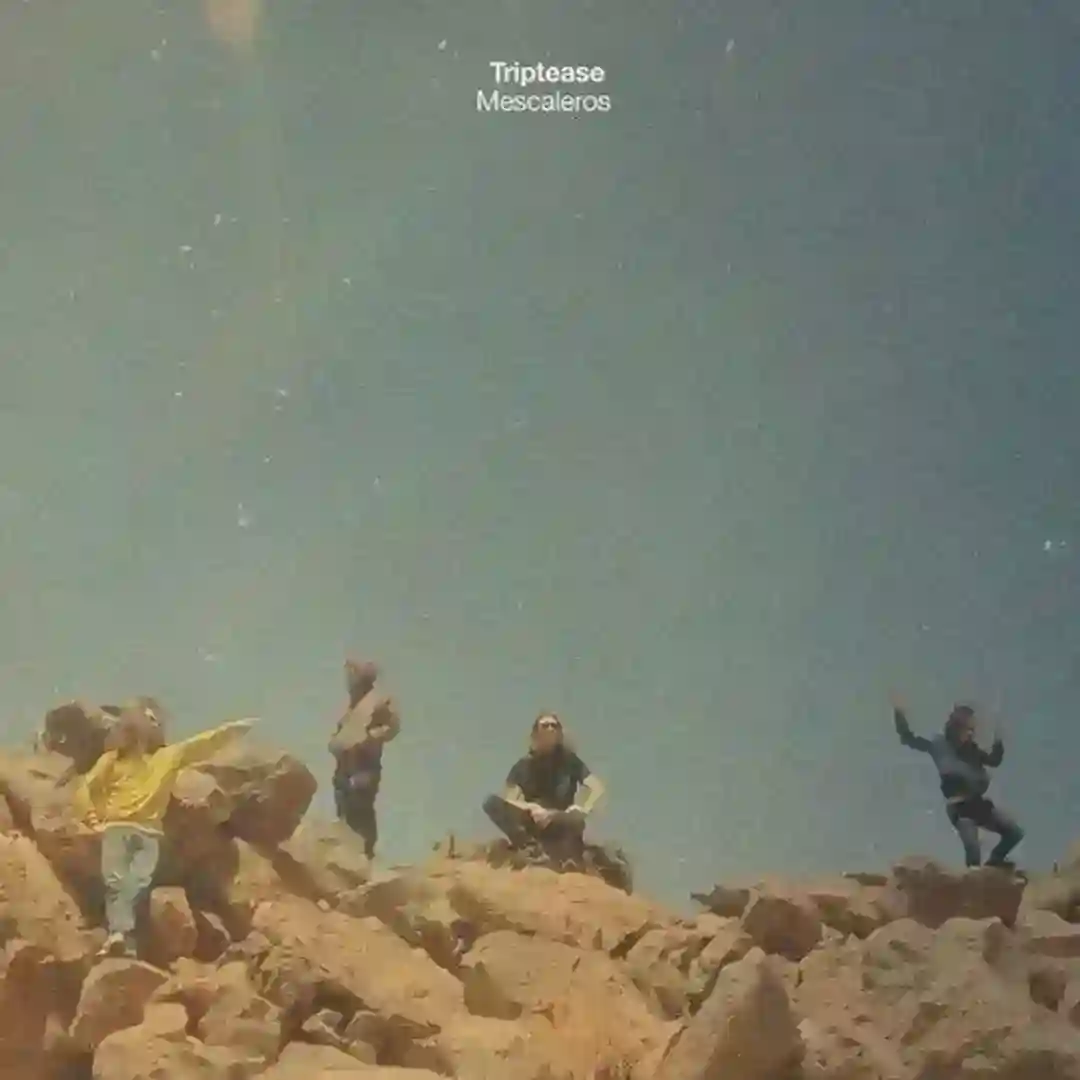 Teide featuring Greg Paulus (Original Mix) cover