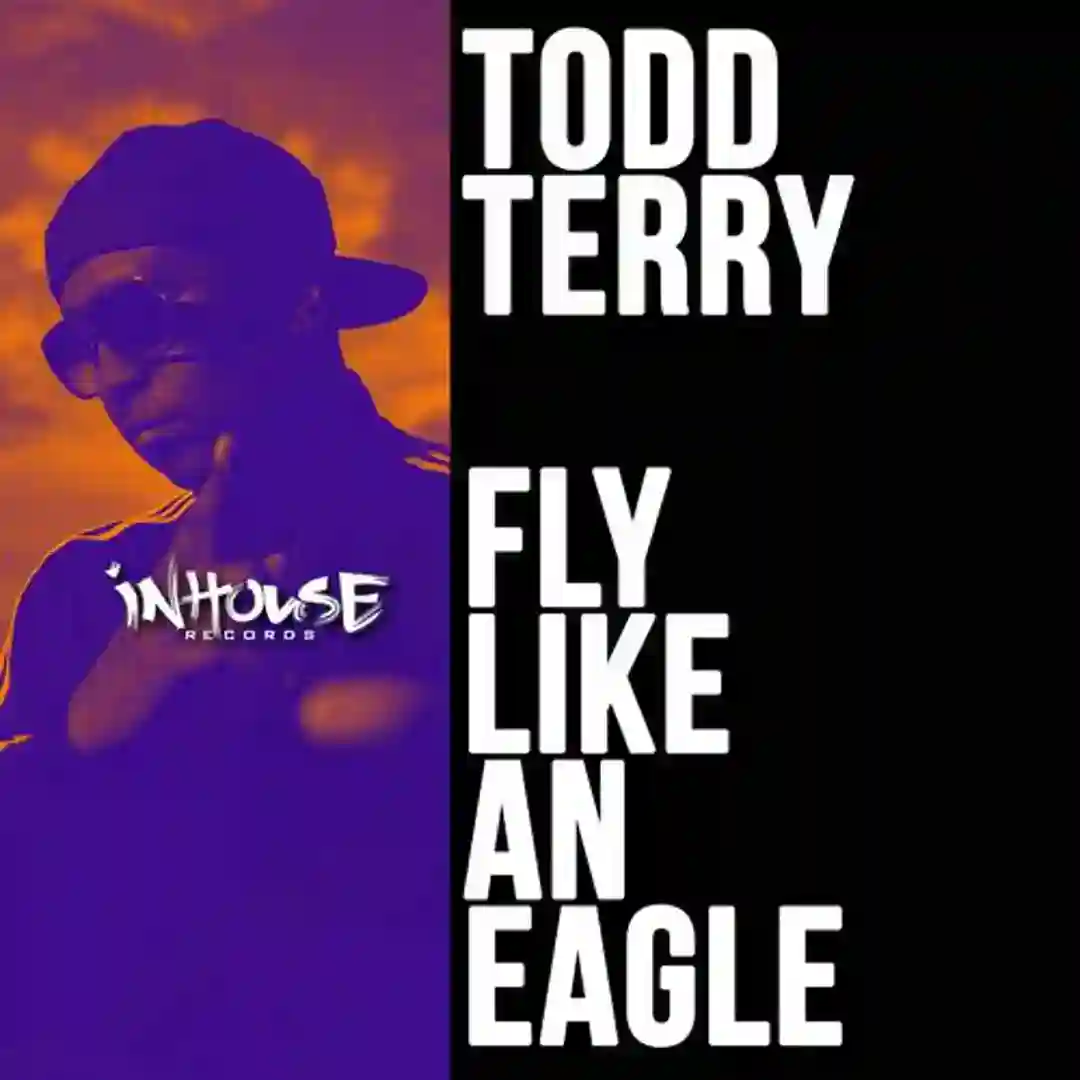 Fly Like an Eagle (Extended Mix) cover