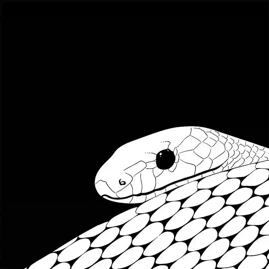 Snakeoil (Rosa Klebb Remix) cover