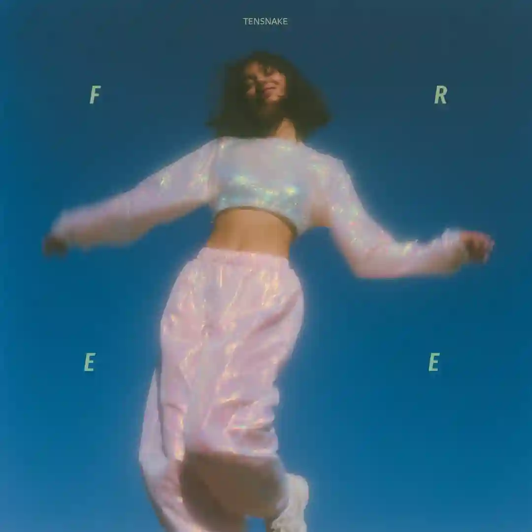 Free (Extended Mix) cover