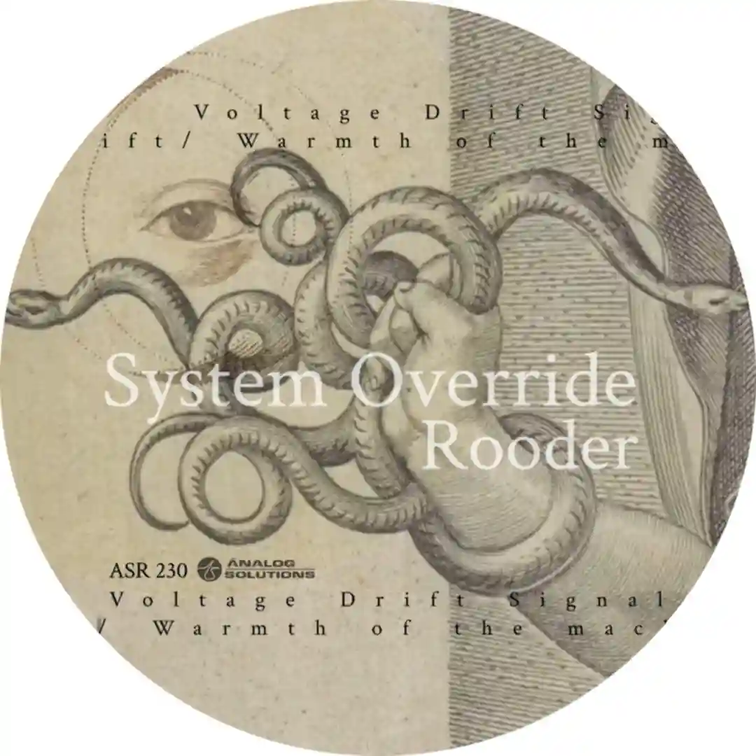 Recursive Loop (Original Mix) cover