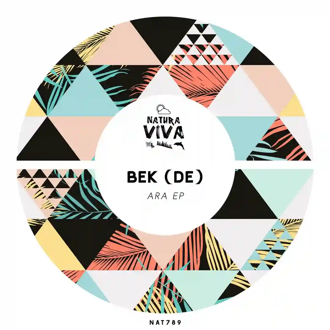 Ara (Original Mix) cover