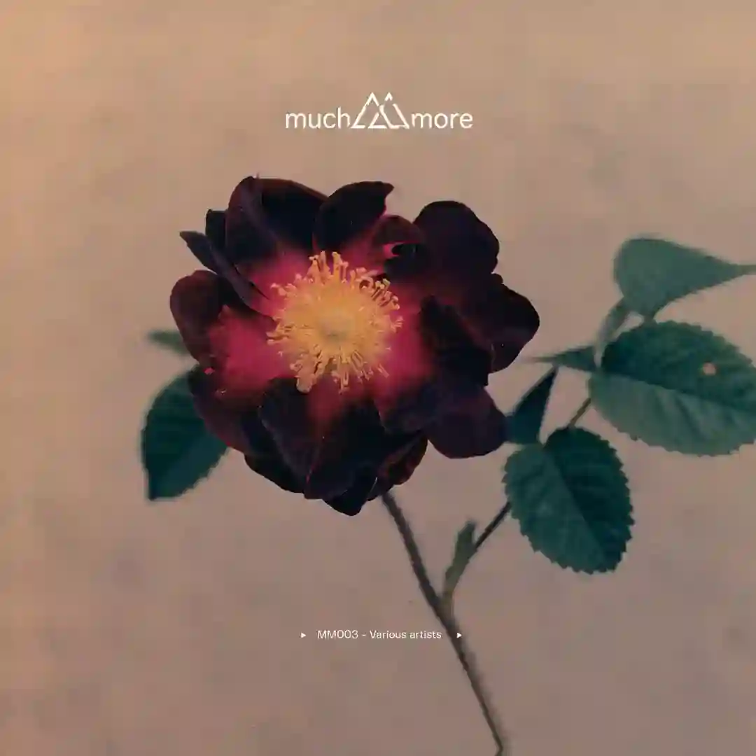 Auditory Euphoria (Original Mix) cover