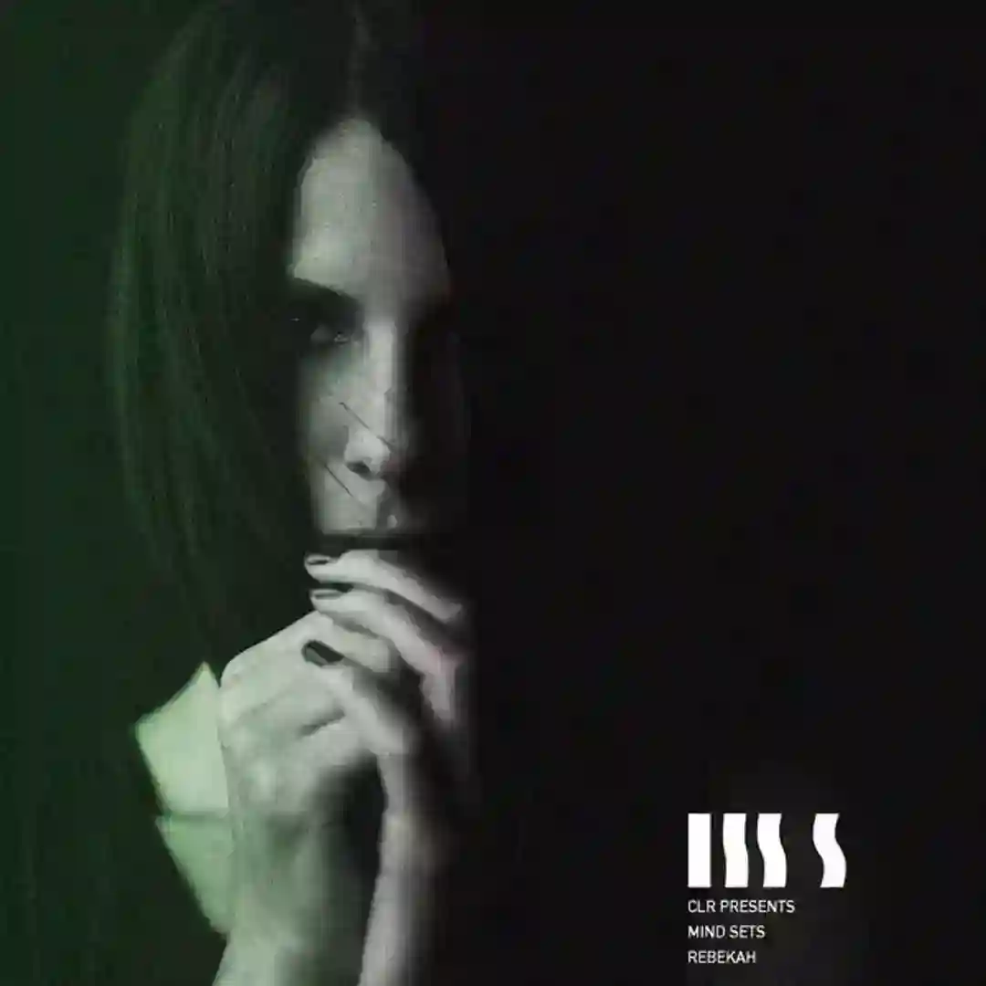 The Storm (L.A.W. Remix) cover