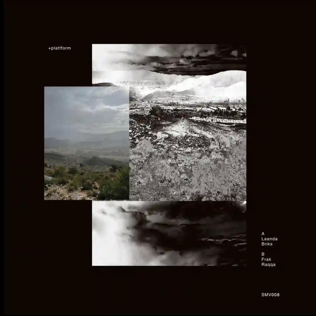 SMV008 cover