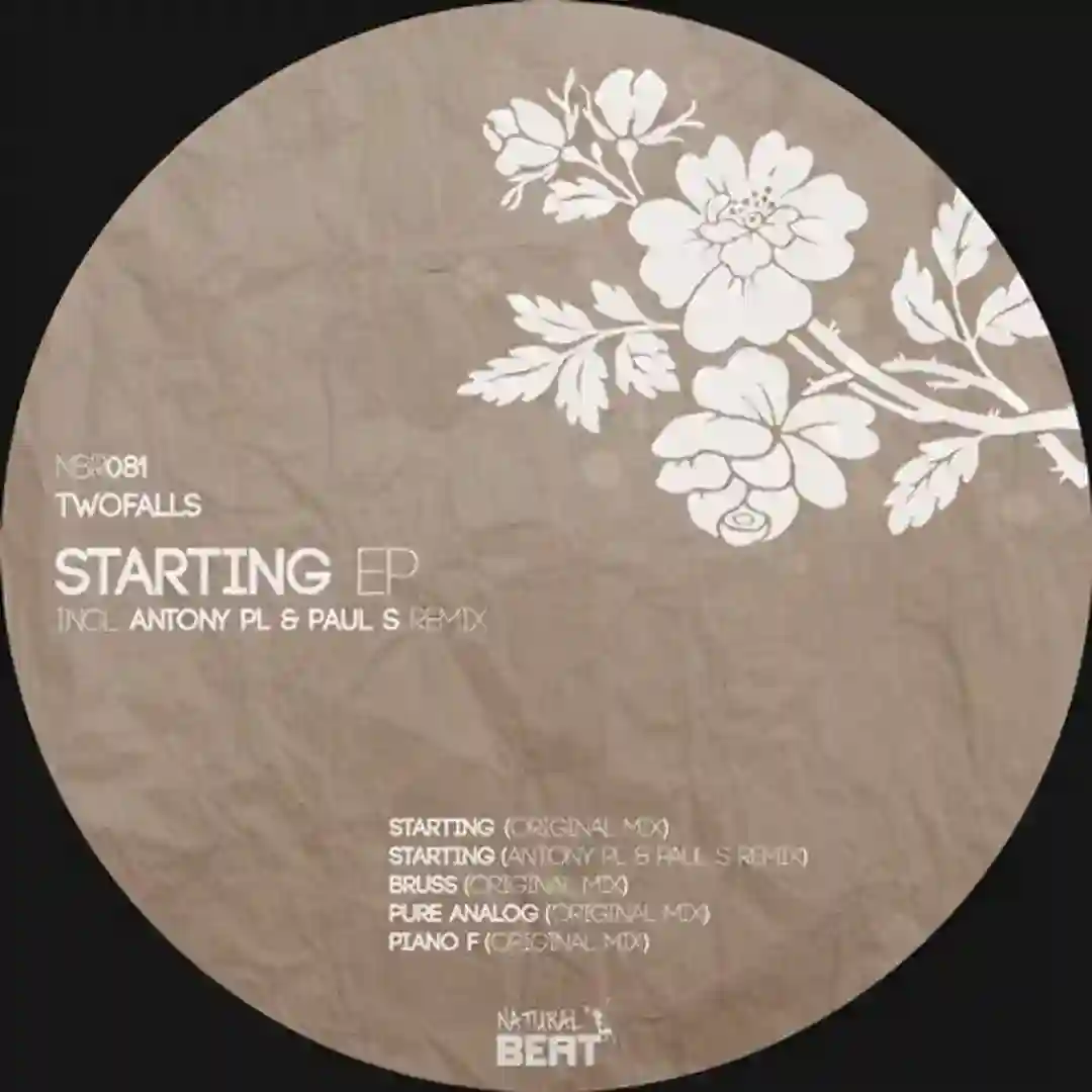 Pure Analog (Original Mix) cover