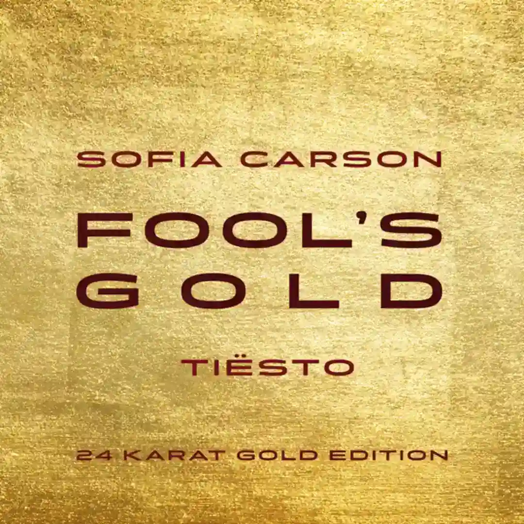 Fool's Gold [D003814715] cover