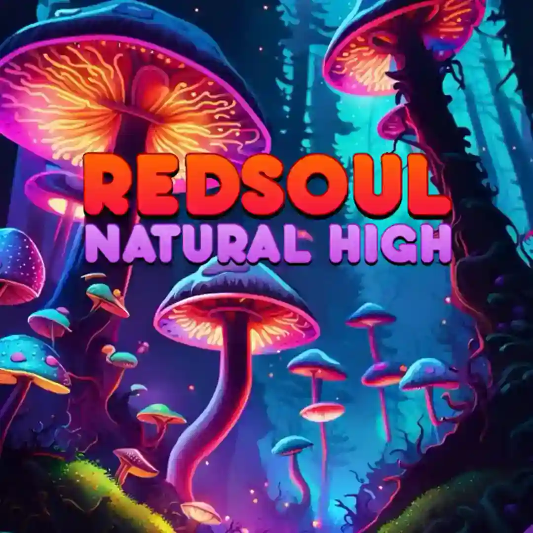 Natural High cover