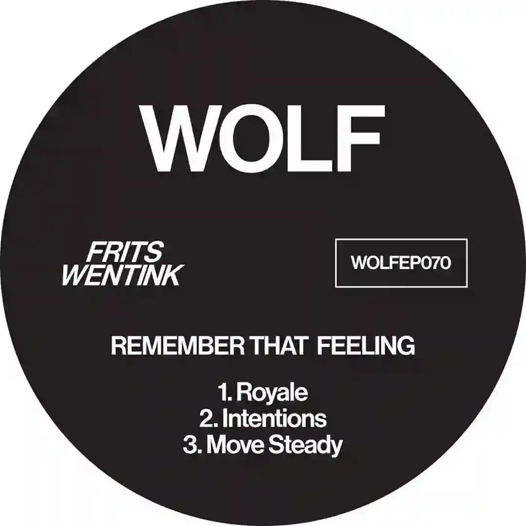 Remember That Feeling cover