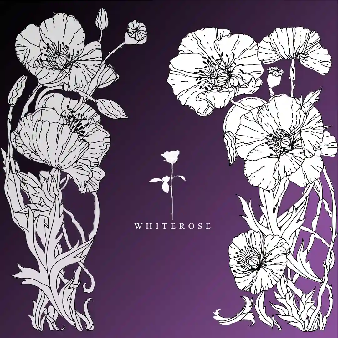 Darkness cover