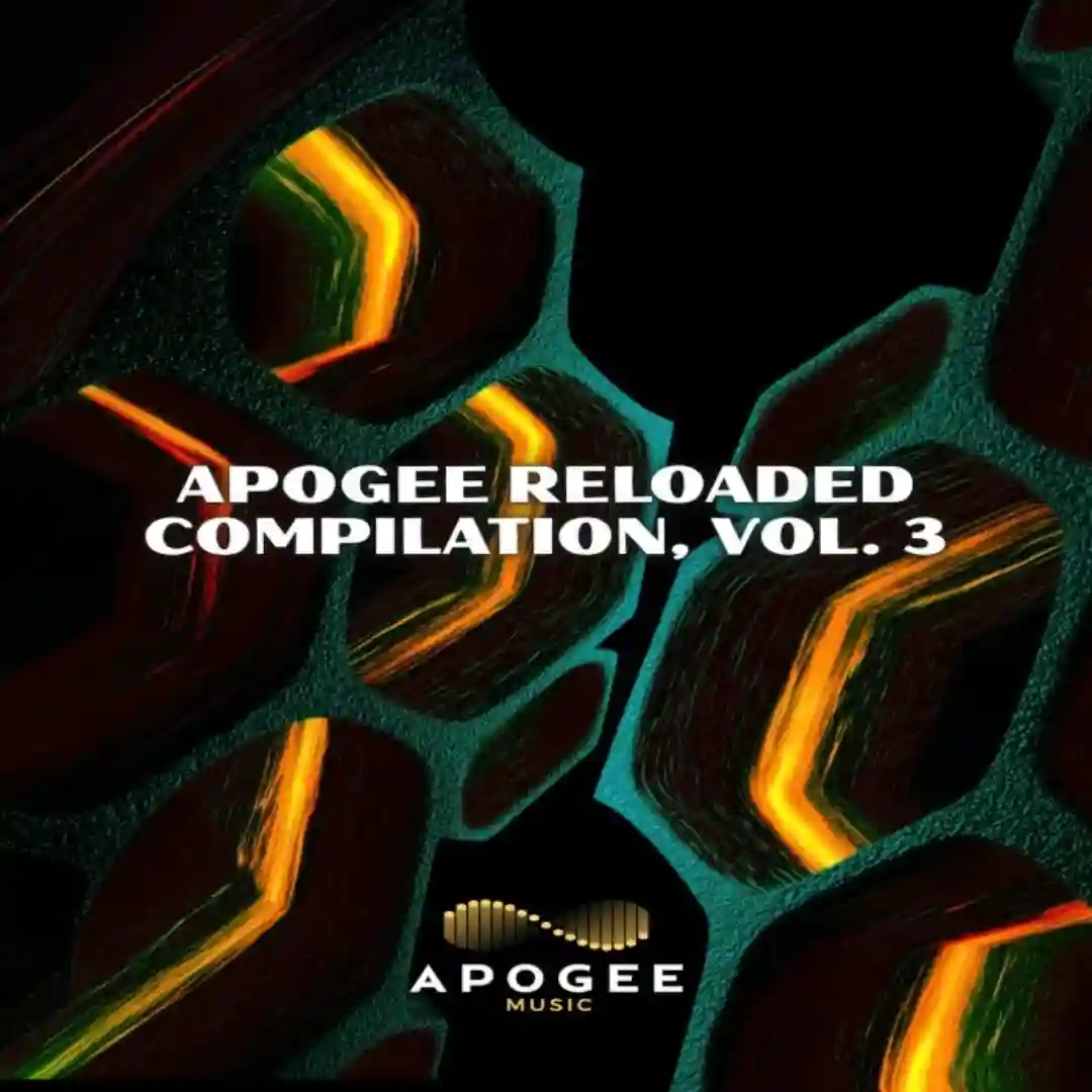 Paralyzed (Biaxel Remix) cover