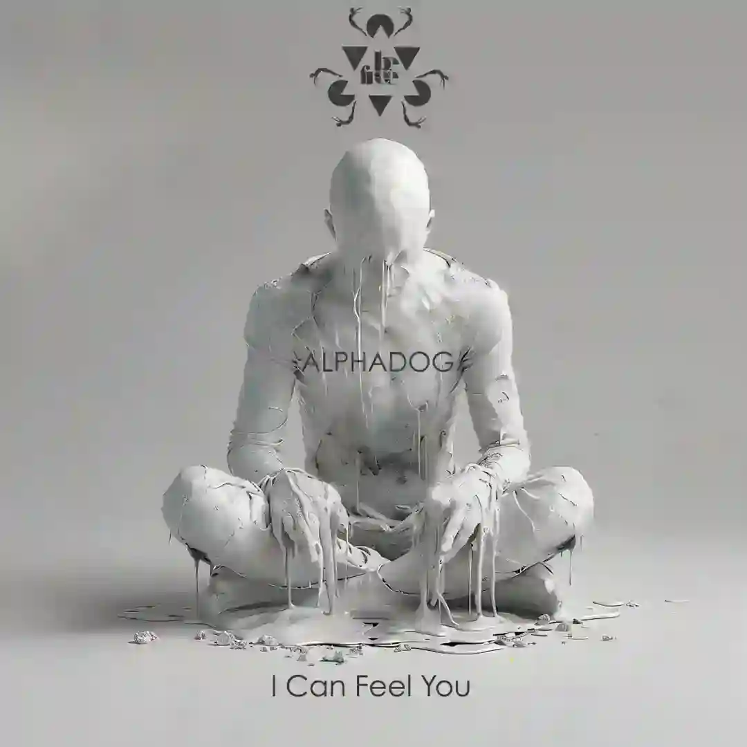 I Can Feel You (Original Mix) cover