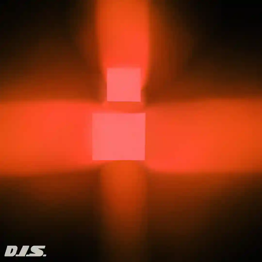 D.I.S. cover