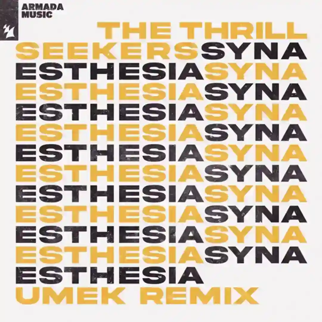 Synaesthesia (UMEK Extended Remix) cover