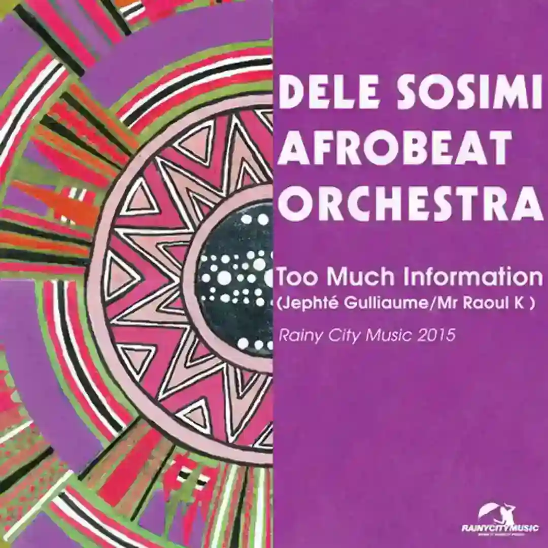 Too Much Information (Mr Raoul K Transformation) cover