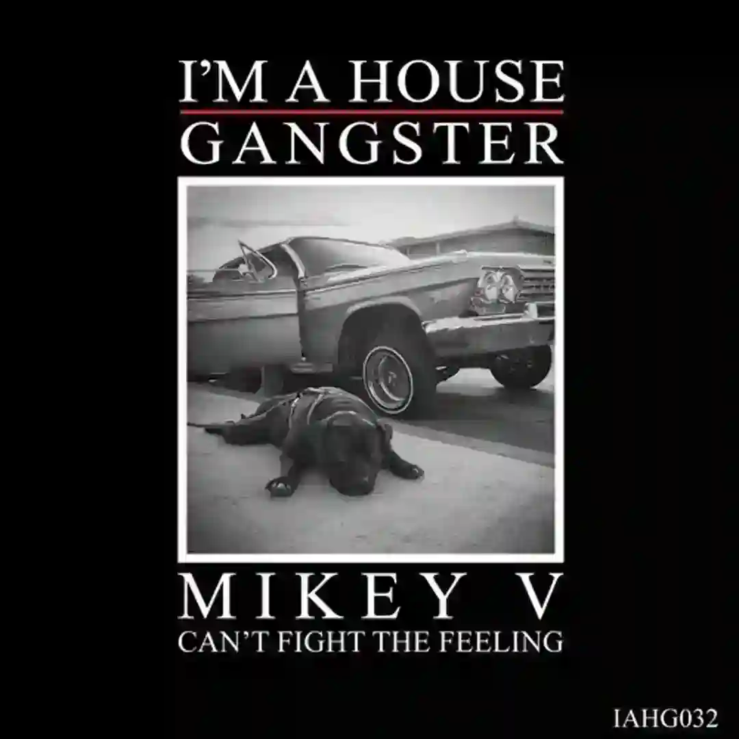 Everybody Freakin (Original Mix) cover