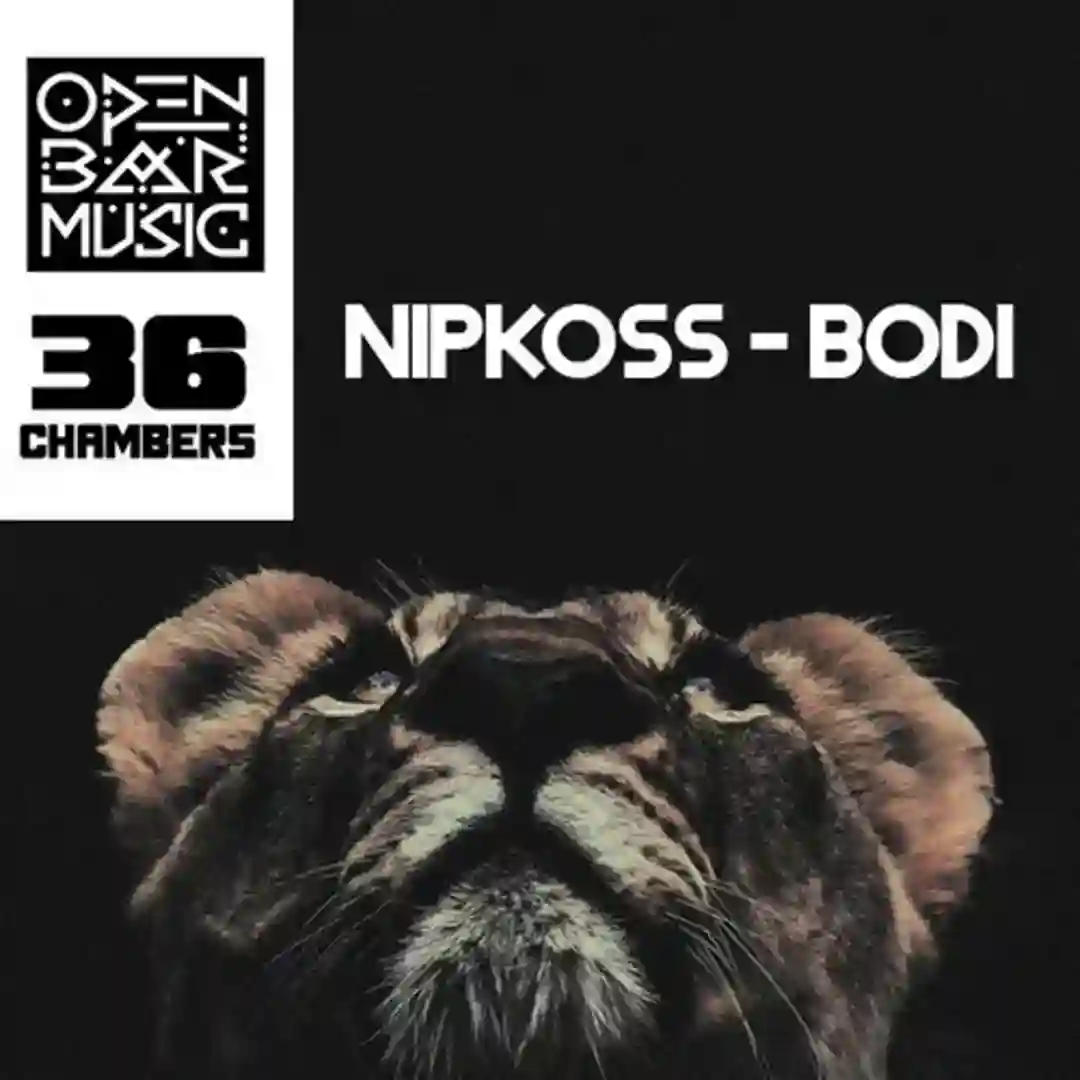 Bodi (Original Mix) cover