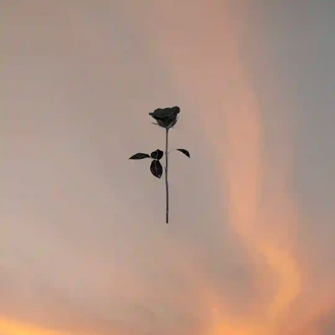Lonely Terrace cover