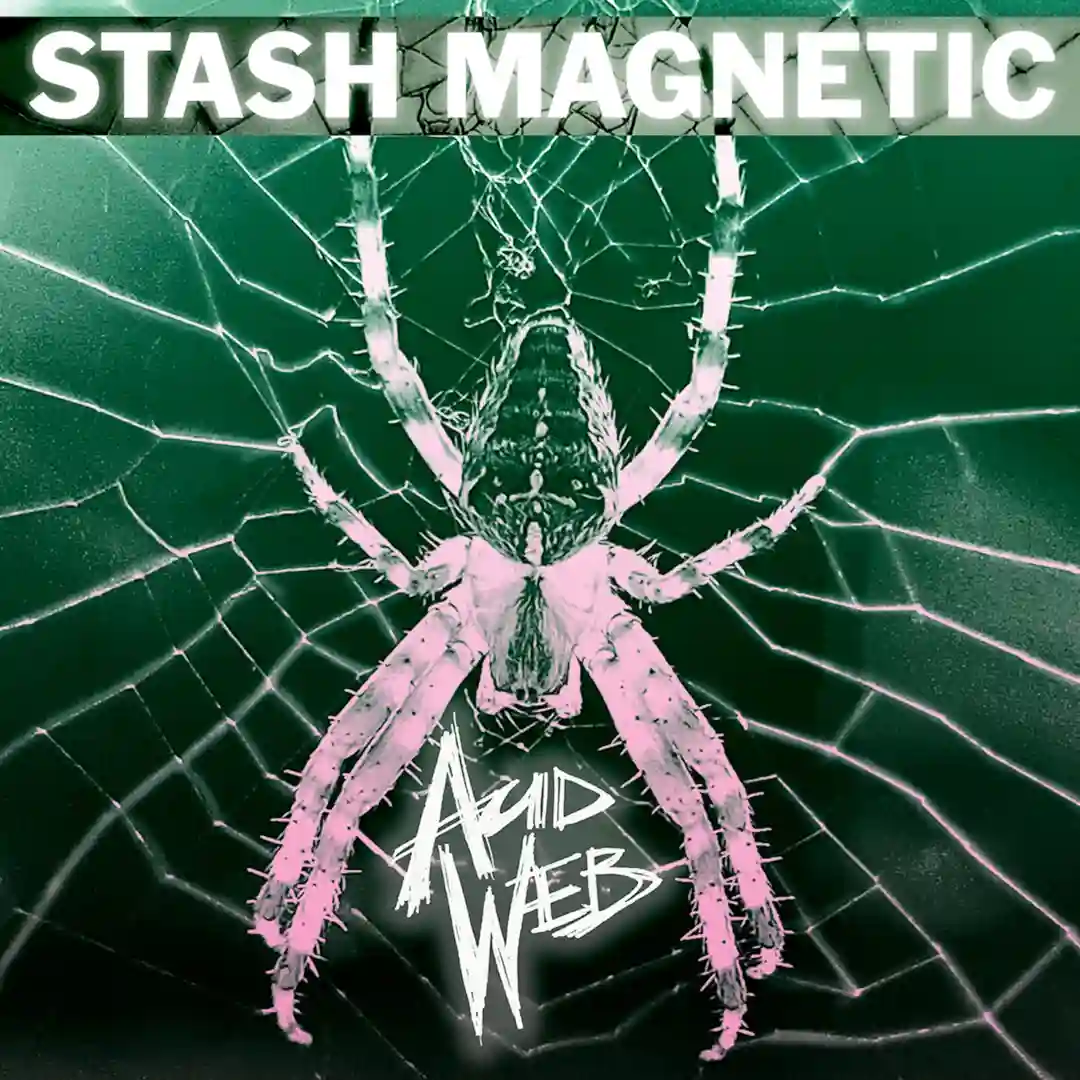 Acid Web (Tronik Youth Remix) cover